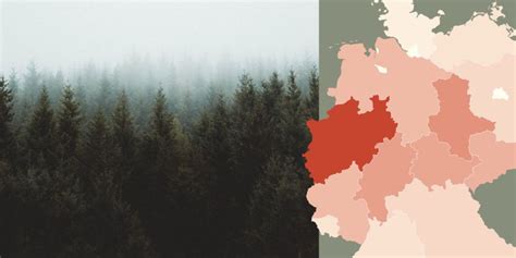 reddit german trees|Why German trees are (and aren’t) dying .